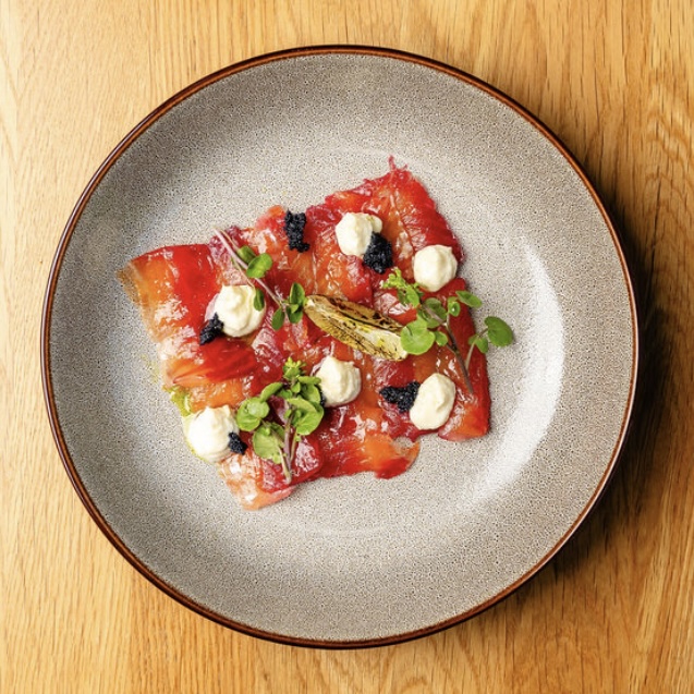 GRAVLAX LOSOS